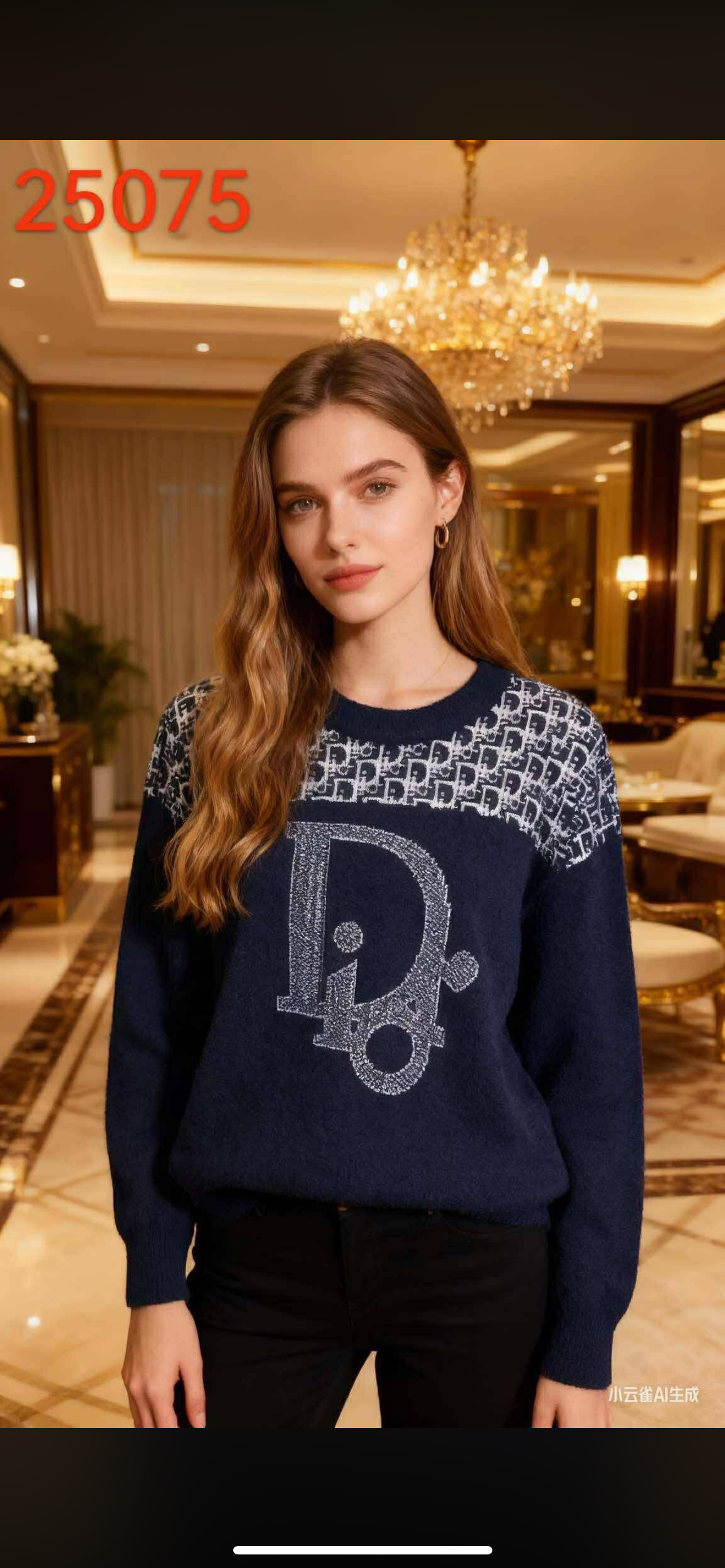 CD sweater